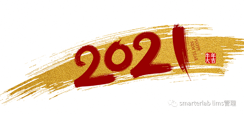 2019 Happy New Year